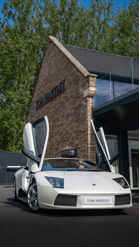 Lamborghini Murciélago VT — photo 4 of 33