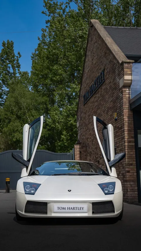 Lamborghini Murciélago VT — photo 5 of 33