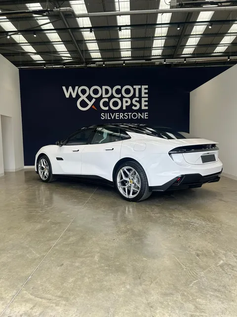 Lotus Emeya 600 Sport SE — photo 2 of 25