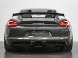 Porsche Cayman GT4 thumbnail